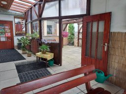 Garden and terrace